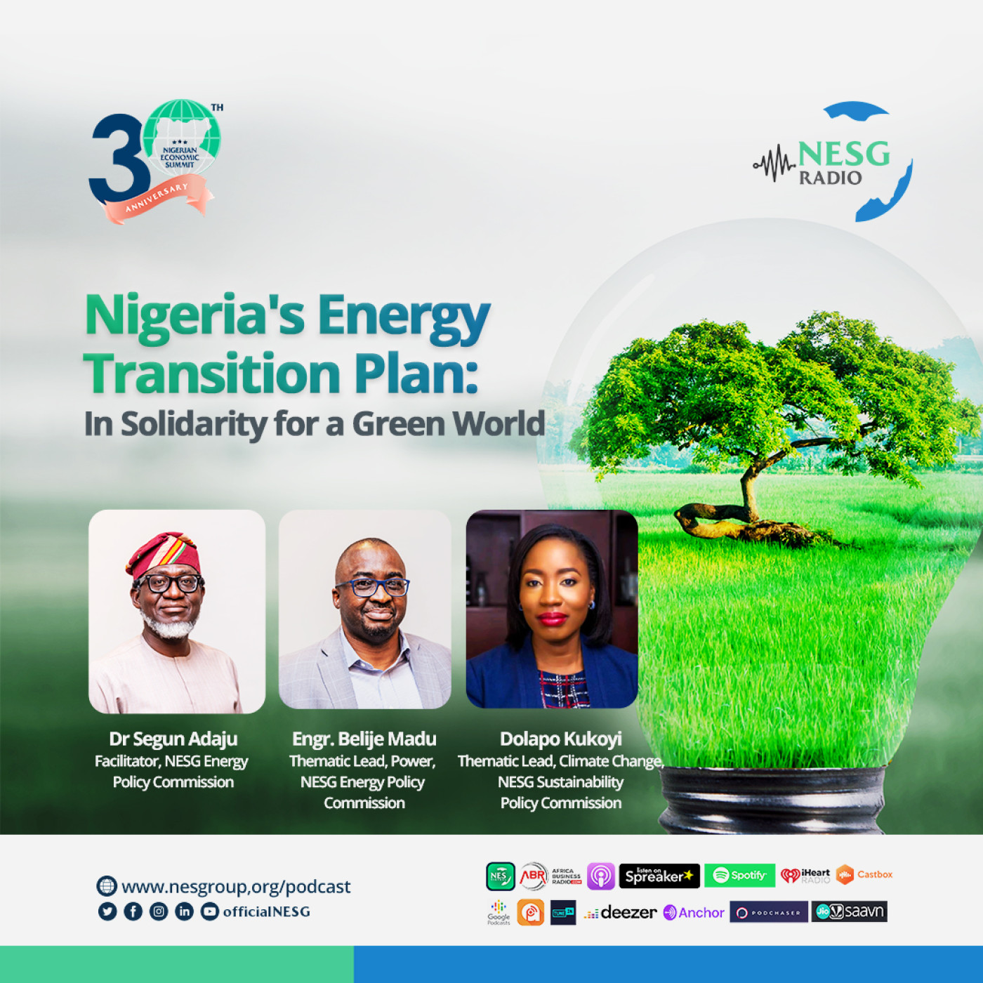Nigeria's Energy Transition Plan: In Solidarity for a Green World